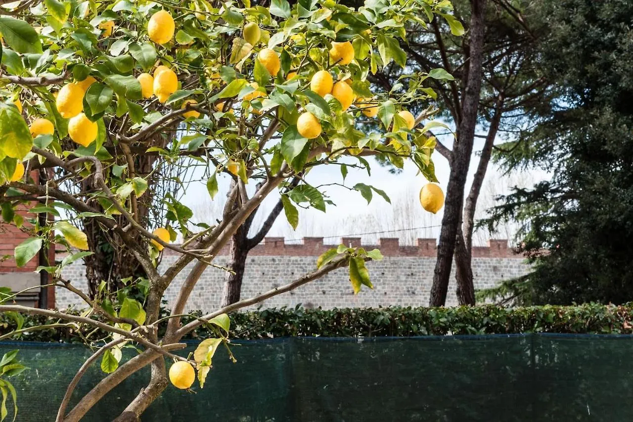 Lemon House Yellow Pisa